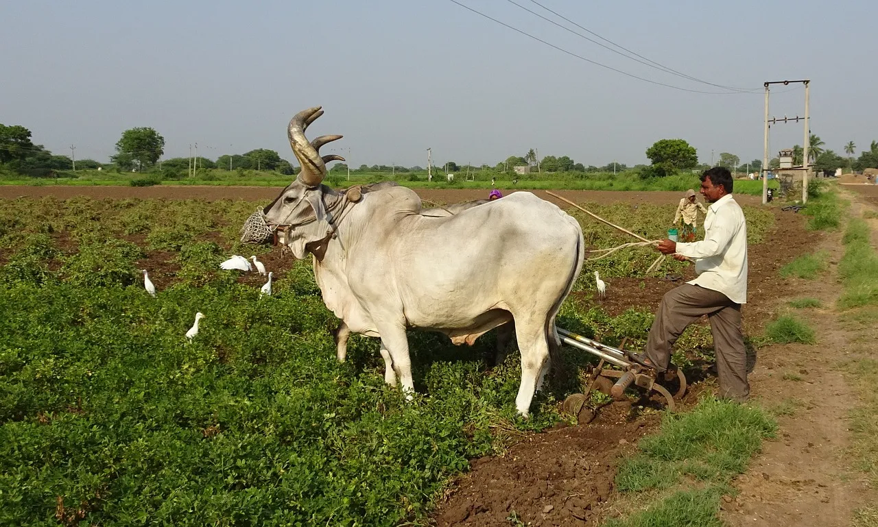 bihar-government-3-decimal-free-land-allocation