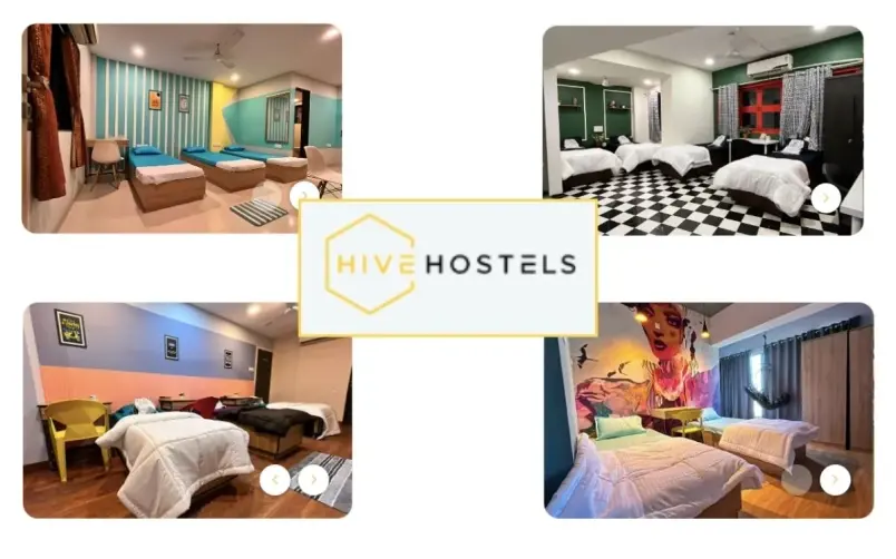 The Hive Hostels